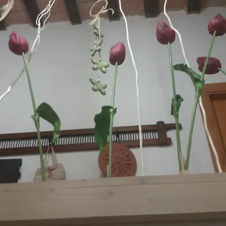 Colisien Casa Vacanze Dom wakacyjny *
